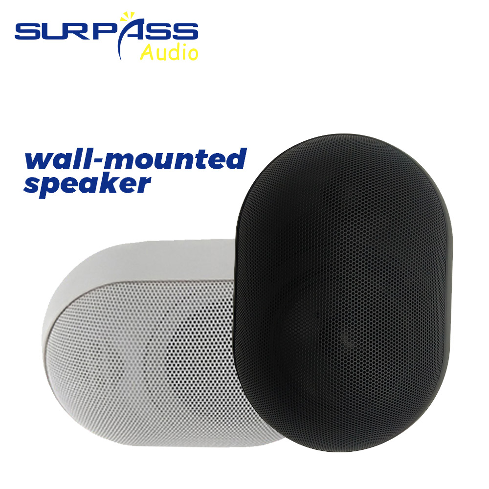 Audio Music In Background - 30W Wall-mounted Speaker Waterproof IP55 Public