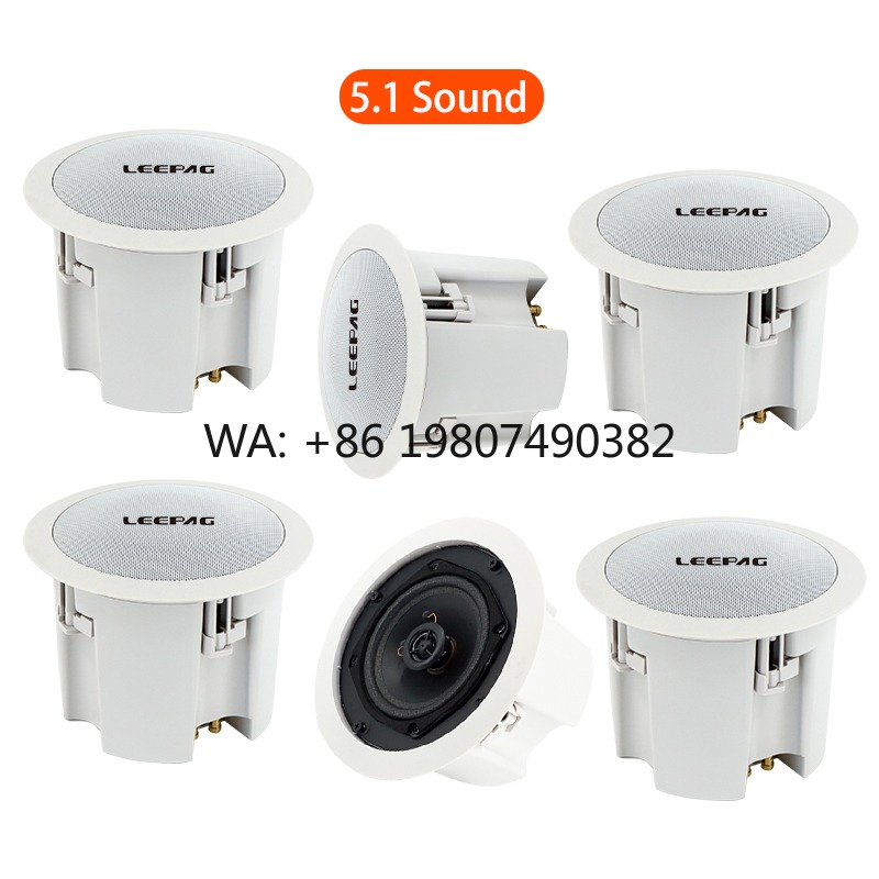 Audio Music In Background - Waterproof WiFi Bluetooth Ceiling Speaker, Wireless