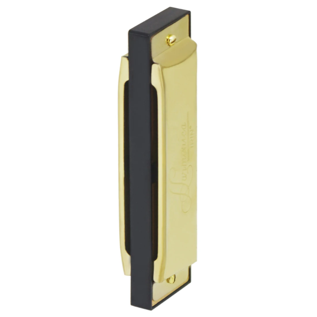 IRIN Harmonica 10 Hole 20 Tone - Harmonica 10 Hole review and price
