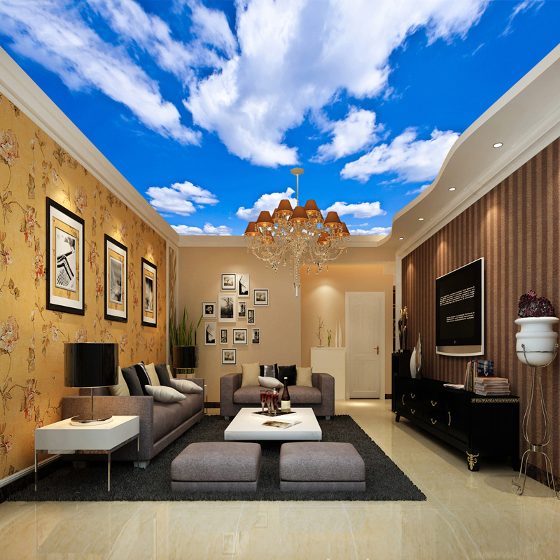 Ceiling Mural Custom 3D Photo  - Audio Music Live review and price