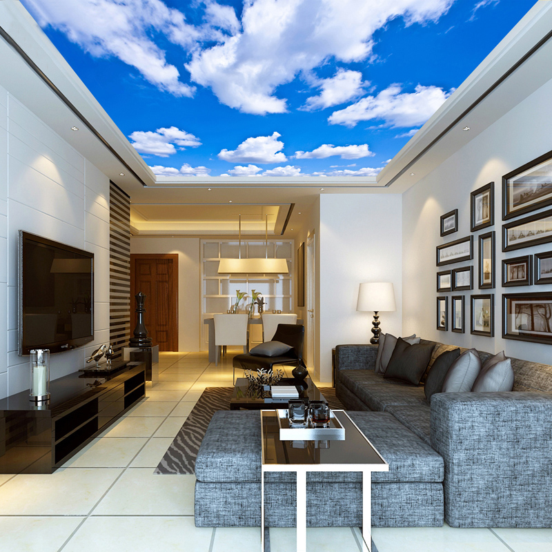 Ceiling Mural Custom 3D Photo  - Audio Music Live review and price