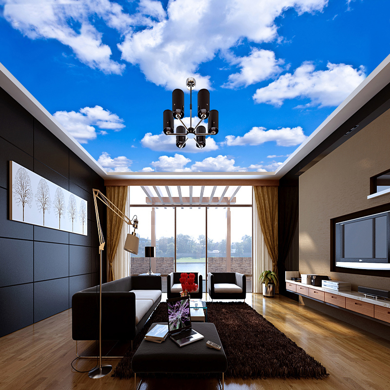 Ceiling Mural Custom 3D Photo  - Audio Music Live review and price