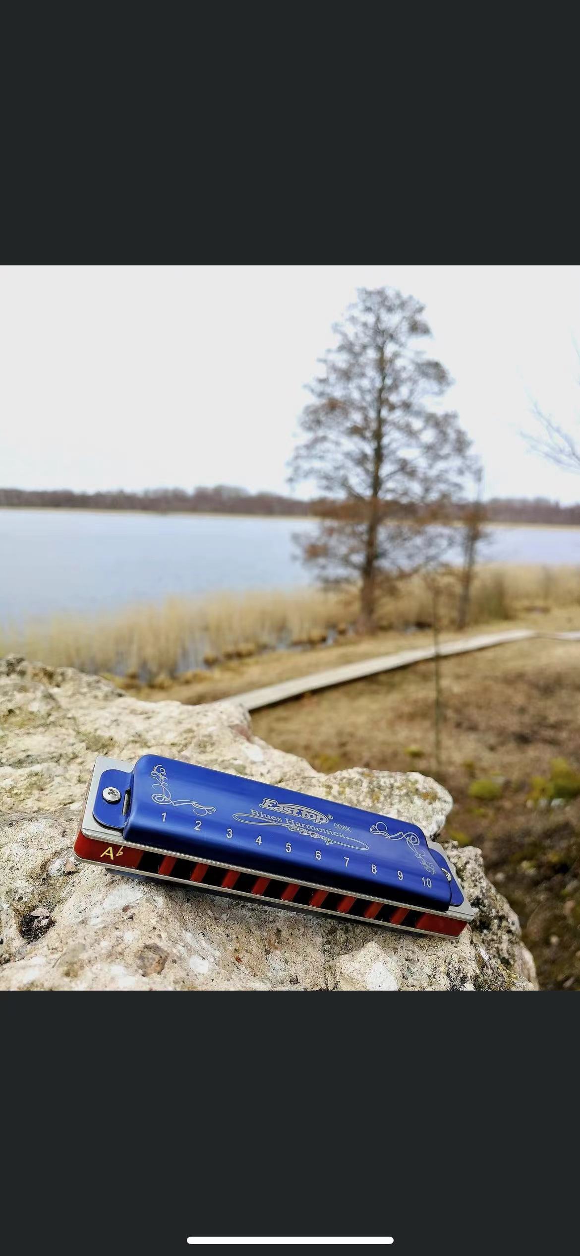 EASTTOP T008K Key of a New Blu - Harmonica 10 Hole review and price