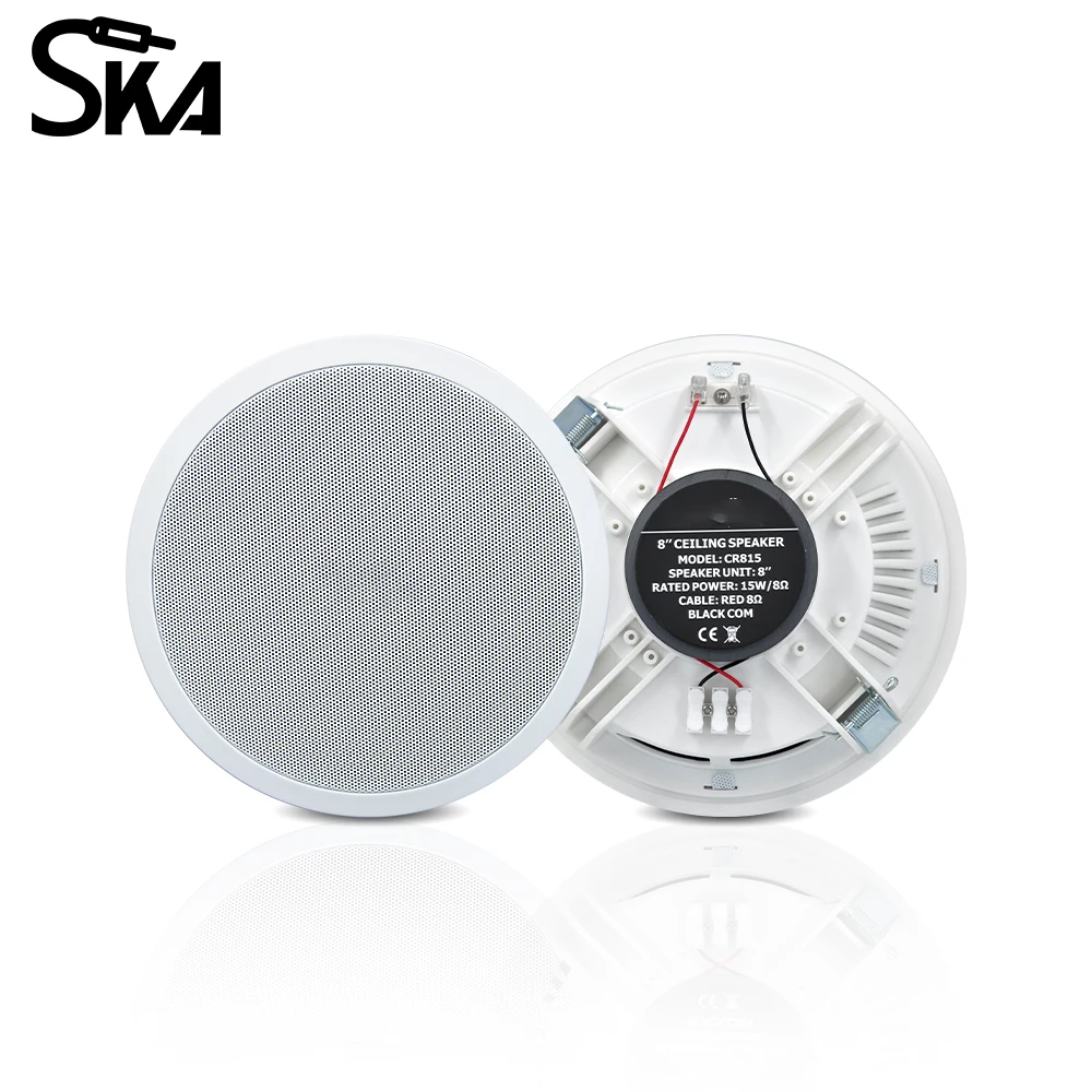 PW4420T+CR815 Smart Home Audio - Audio Music In Background review and price