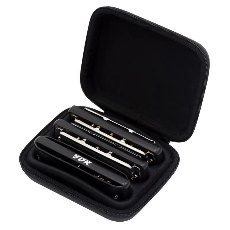 Diatonic Harmonica Case, 10 Ho - Harmonica 10 Hole review and price