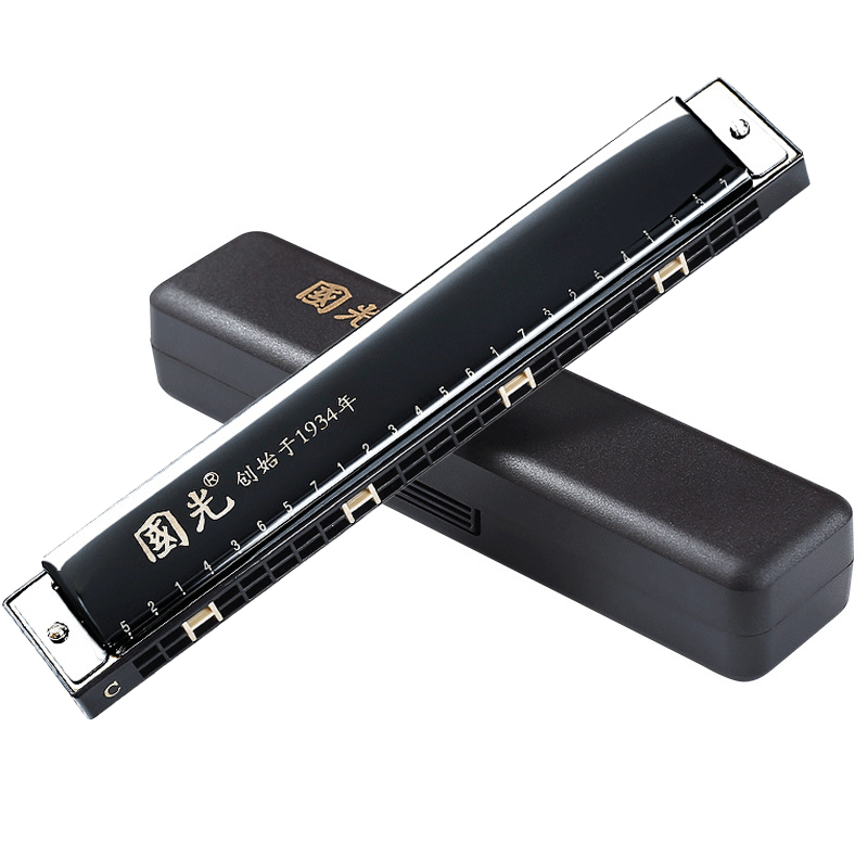 Guoguang Tremolo Harmonica 24  - Harmonica 10 Hole review and price