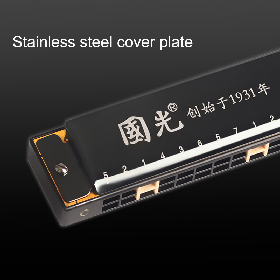 Guoguang Tremolo Harmonica 24  - Harmonica 10 Hole review and price
