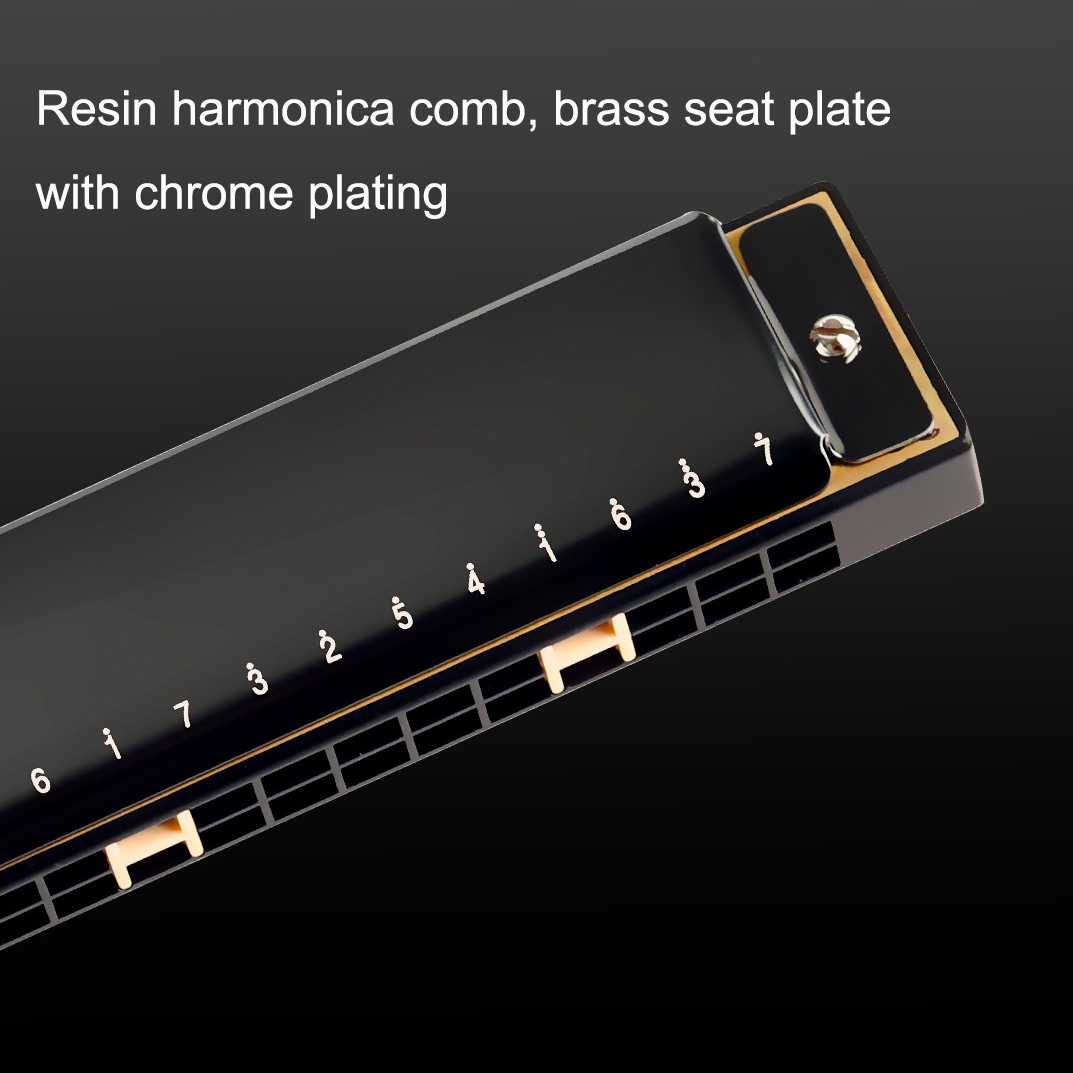 Guoguang Tremolo Harmonica 24  - Harmonica 10 Hole review and price