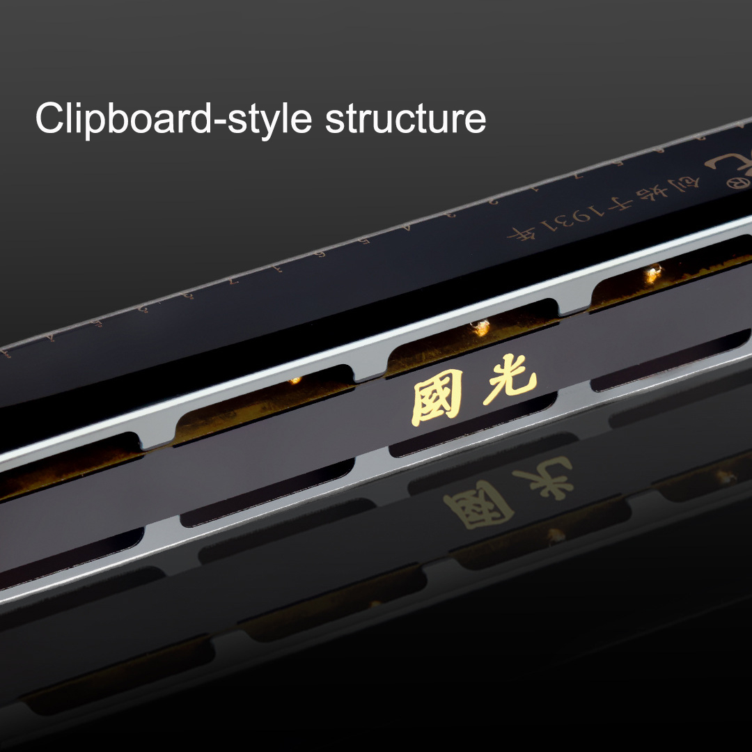 Guoguang Tremolo Harmonica 24  - Harmonica 10 Hole review and price