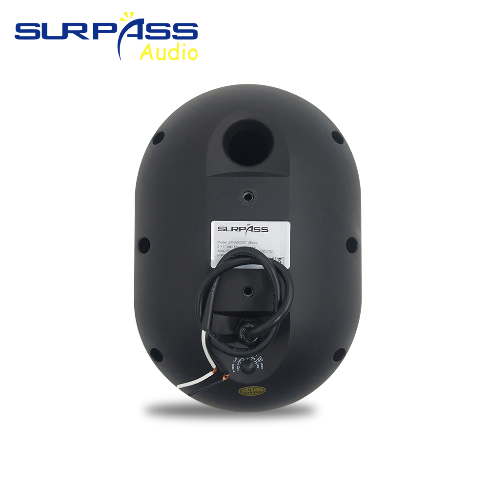 30W Wall-mounted Speaker Water - Audio Music In Background review and price